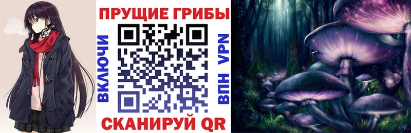 Псилоцибиновые грибы Cubensis  Ачхой-Мартан 